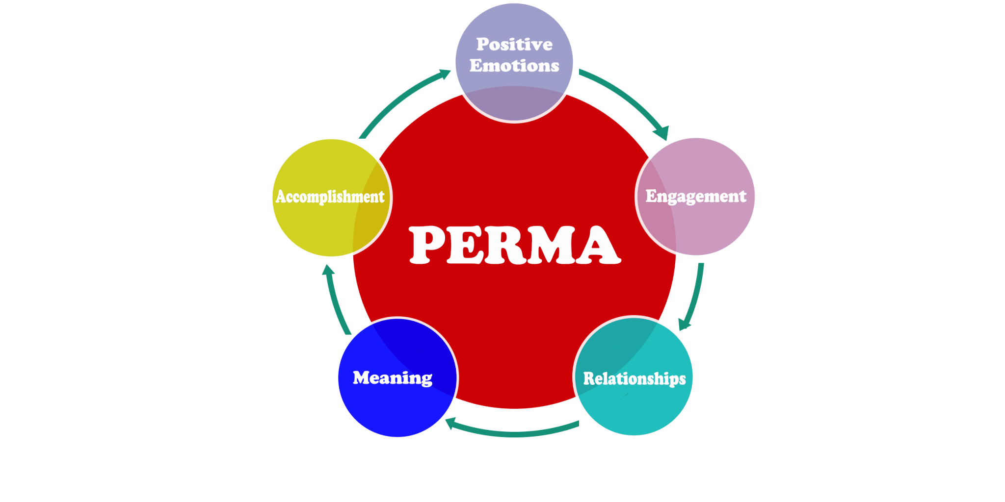 Définition, origines et principes de la psychologie positive : le PERMA